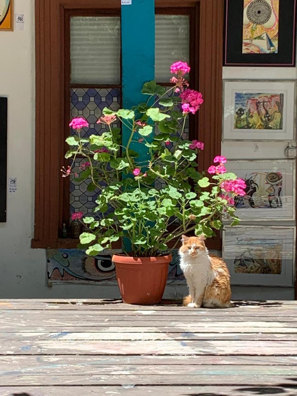Art Hostel Casa Chaman บัลปาราอีโซ ภายนอก รูปภาพ