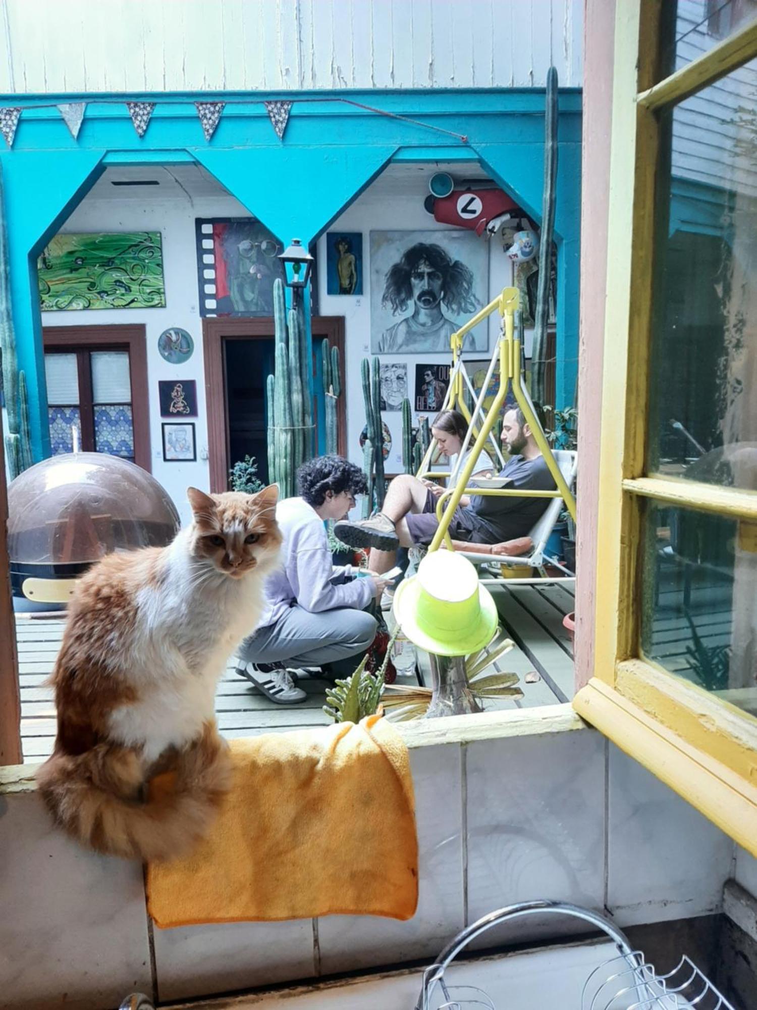 Art Hostel Casa Chaman บัลปาราอีโซ ภายนอก รูปภาพ