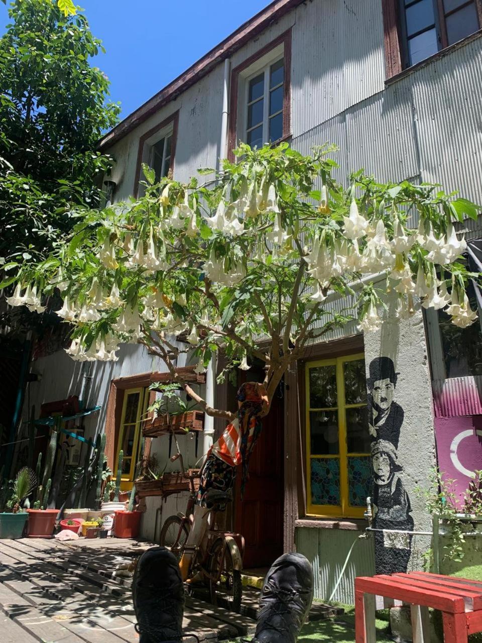 Art Hostel Casa Chaman บัลปาราอีโซ ภายนอก รูปภาพ